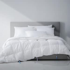 ไส้นวมขนห่านขาว