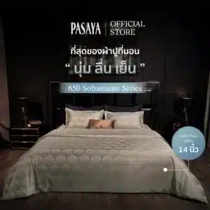 ชุดผ้าปูที่นอน – 650 เส้นด้าย