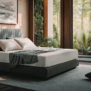 เตียง Bedspatong รุ่น wellness